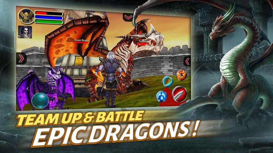 Sherwood Dungeon 3D MMO RPG Capture d'écran 1