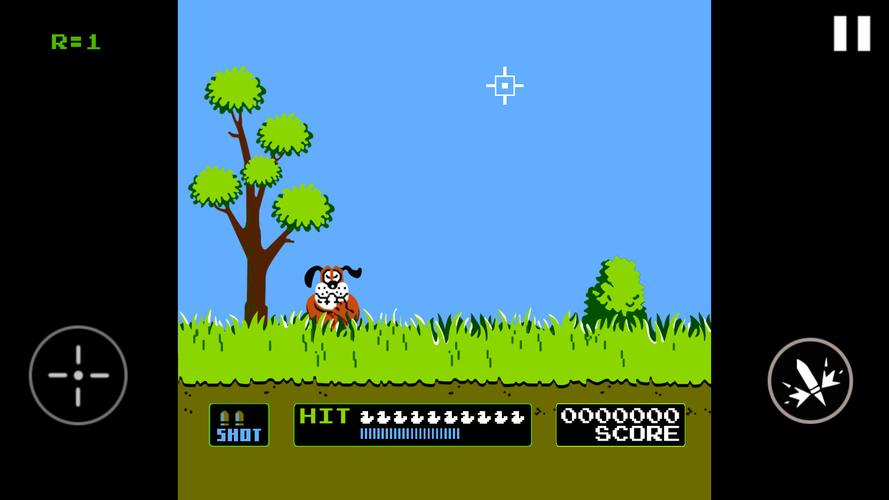 Duck Hunt Screenshot 0