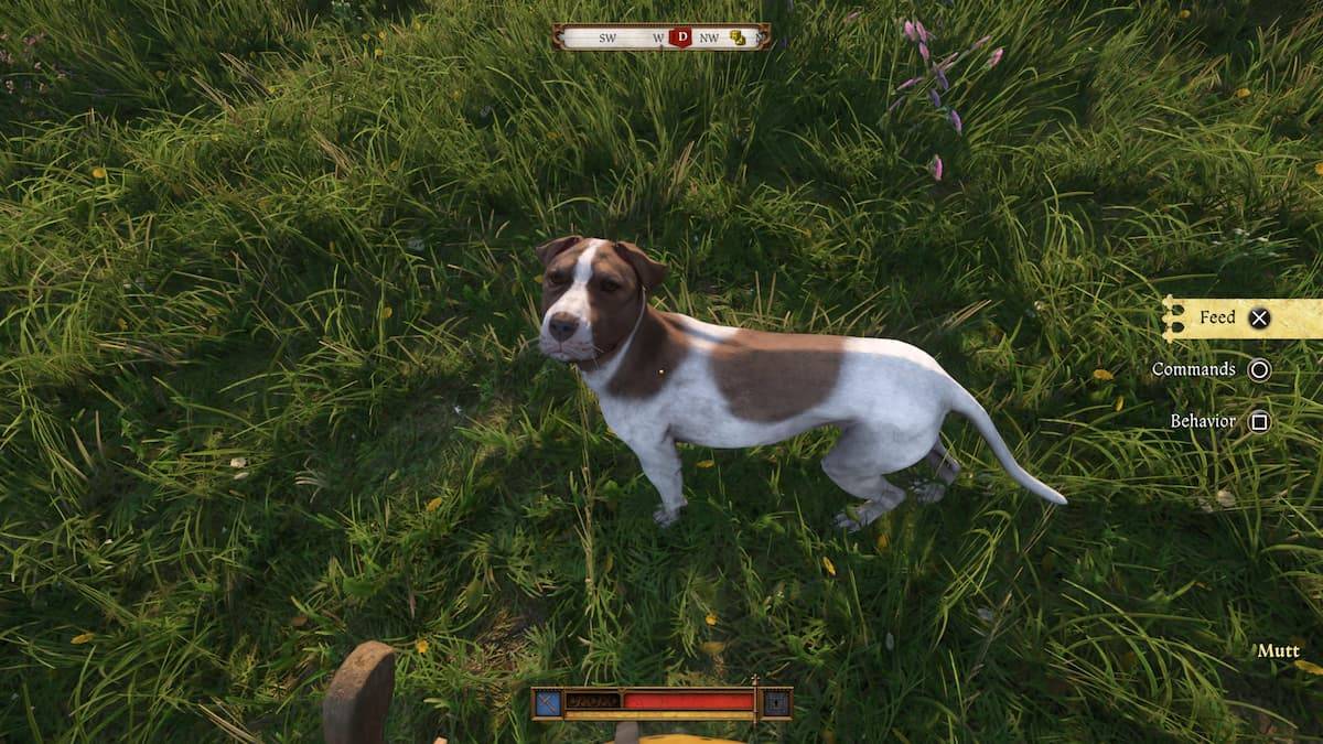 Mutt Returns in Kingdom Come Deliverance 2