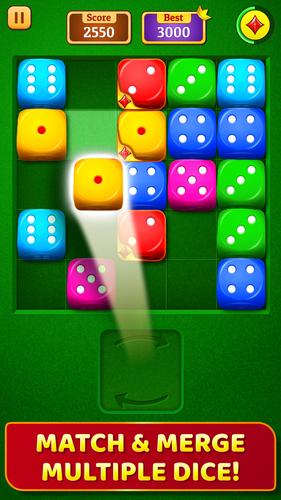Dice Puzzle 스크린샷 0