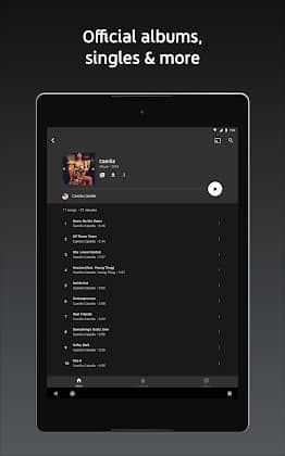 YouTube Music Premium Tangkapan skrin 2