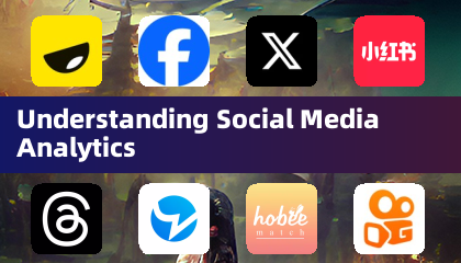 Understanding Social Media Analytics